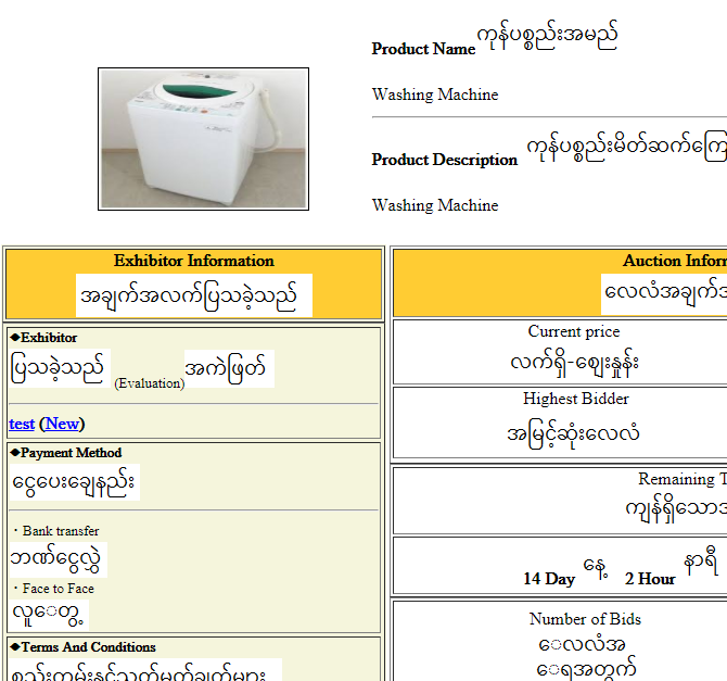 washing machine auction product